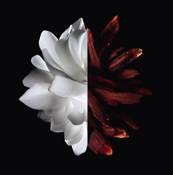 GIVENCHY-L'Interdit Rouge - Eau de Parfum