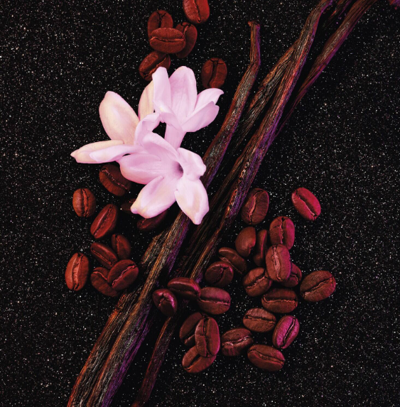 YVES SAINT LAURENT-Black Opium - Eau de Parfum