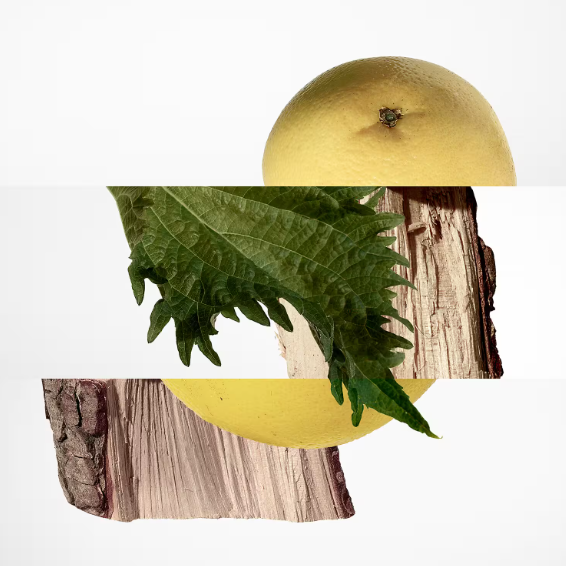 HERMES-Terre d'Hermès - Eau De Parfum