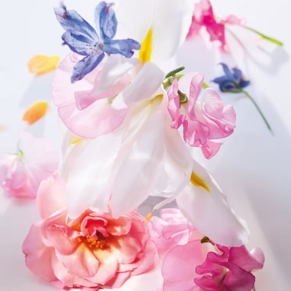 DIOR-Miss Dior - EDP 100ml